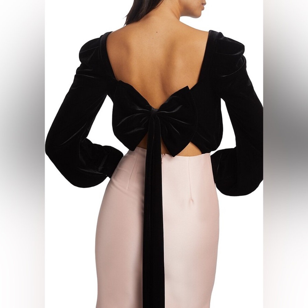 Badgley Mischka Party In The Back Two-Tone Gown - Picture 3 of 14